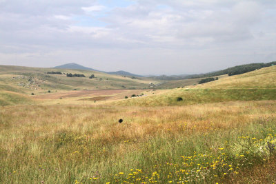 05.jpg