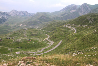 53.jpg