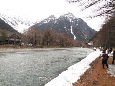 431.jpg