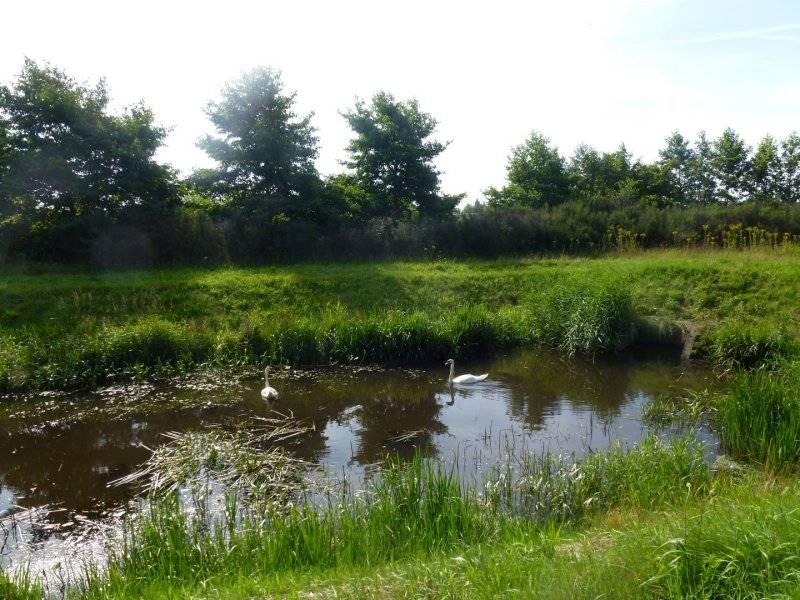 Richting Zwartemeer
