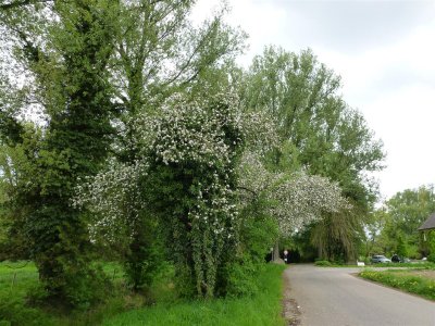 In de buurt van Klooster  Mariendonk