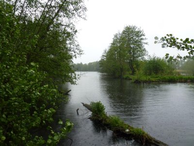 De Wittsee