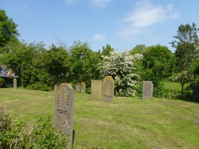 g9/78/312478/3/150682769.8pfpcvZp.jpg