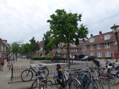 Koekoeksplein Amsterdam Noord