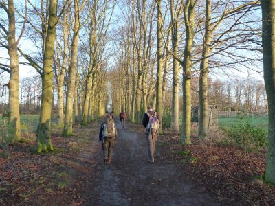 Fietspad Oosterwolde 