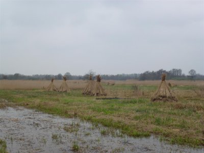 De Weerribben