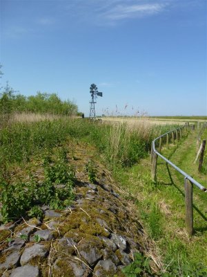 Bij Vogelkijkhut Mokkebank