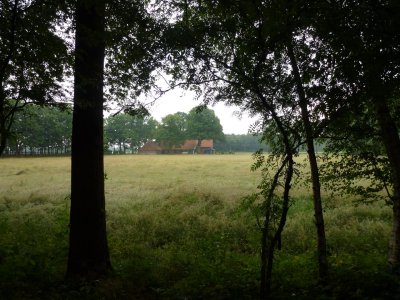 Oldenkotsedijk