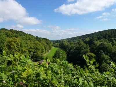 Klostertal bij Steinbachtalsperre