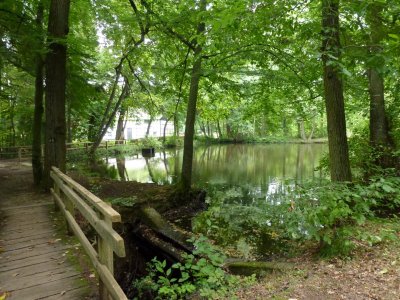 Forstweiher Rheinbach