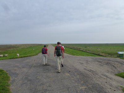 Richting de buitendijkse polder Peazerlannen