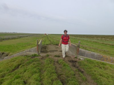 Polder Peazerlannen