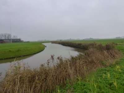Houwerzijl