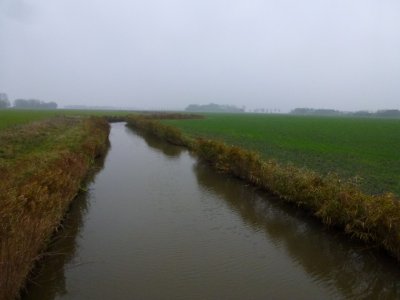 Houwerzijl