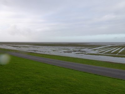 Het wad