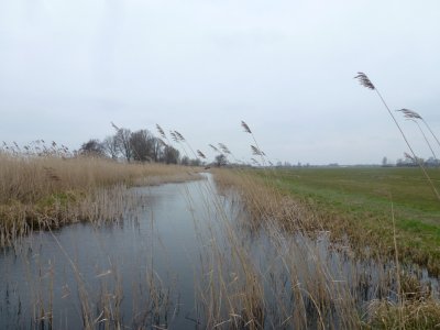Wagendijk  Kockengen