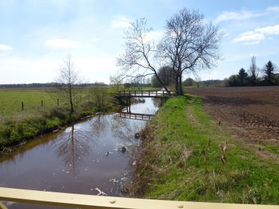 Noaberpad Wandeling Bad Nieuweschans - Wessinghuizen 18/19 april 2015