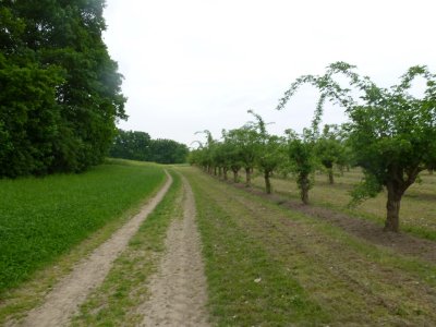 richting Mlheim-Krlich