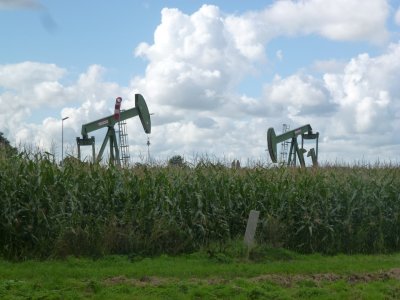 g9/78/312478/3/161435104.CaNuPpA7.jpg