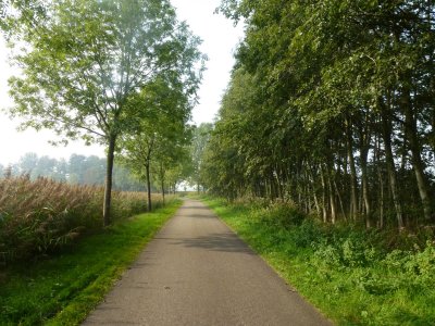 Stokkumervlierweg