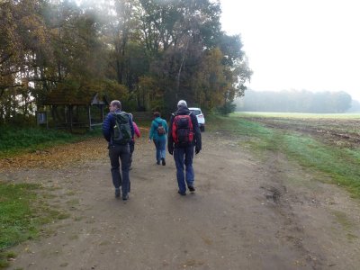 Noaberpad Wandeling Zum Lnsberg - Glane 31 oktober/1 november 2015