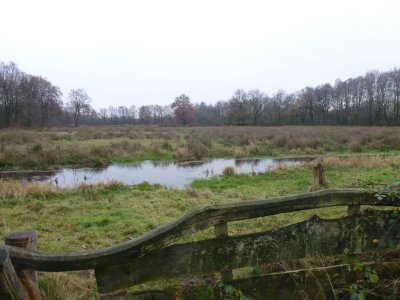 Glanerbeekweg