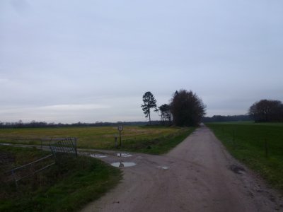 Twistveenweg