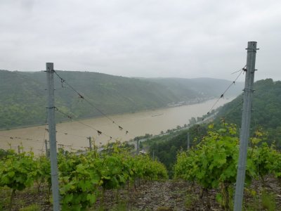 De Rijn bij Oberwesel