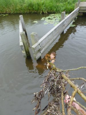 Geen ketting bij pont Kockengen - Joostendam dus zwemmen
