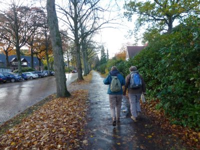 Wandeling Westerborkpad Amersfoort CS - Amersfoort Vathorst 6 november 2016