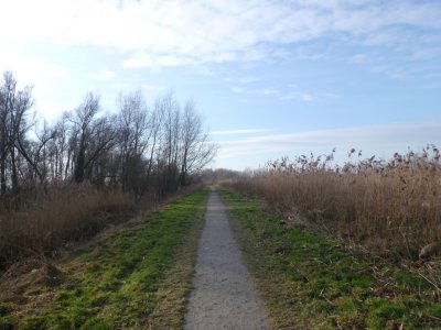 Oeverlanden Hollands Diep, Natuurontwikkeling bij Strijensas