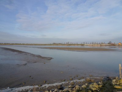 Oeverlanden Hollands Diep, Natuurontwikkeling bij Strijensas