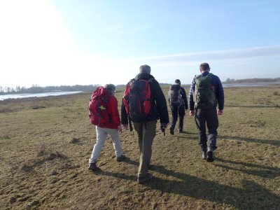 Oeverlanden Hollands Diep, Natuurontwikkeling bij Strijensas