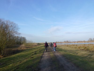 Oeverlanden Hollands Diep, Natuurontwikkeling bij Strijensas