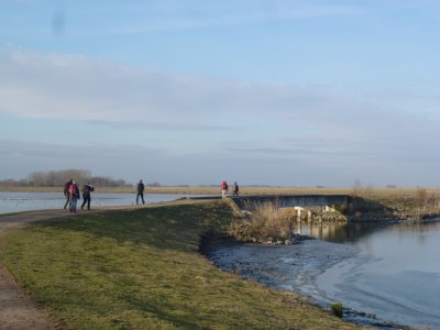 Oeverlanden Hollands Diep, Natuurontwikkeling bij Strijensas