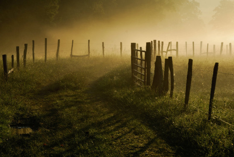 Magic Fence  