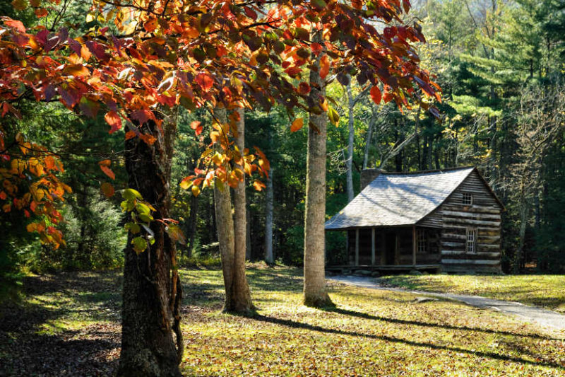 Carter Shields Cabin