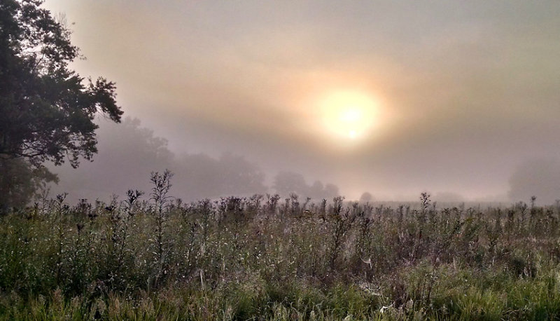 Sunrise 