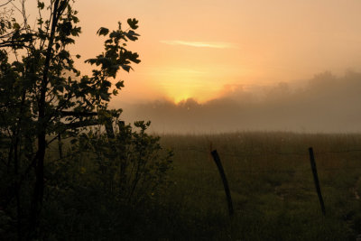 Sunrise