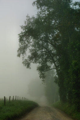 2 Foggy Hyatt Lane -0058.jpg