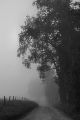 2 BW Foggy Hyatt Lane -0058.jpg