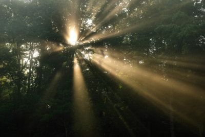 Good Morning Starshine