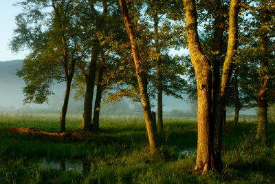 Early Light