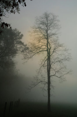 Solitaire