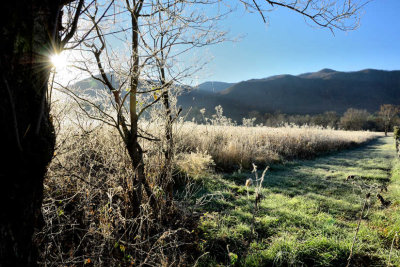 Sunburst & Frost