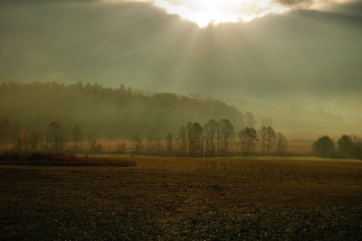 Sun Streaks