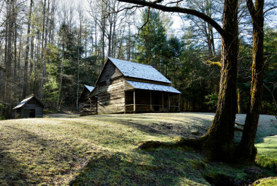 Whitehead Cabin
