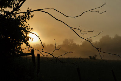 Sunrise On Sparks Lane