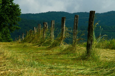 The Unmown