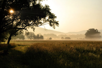 Daybreak At Sparks Lane